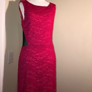 NWT DRESS